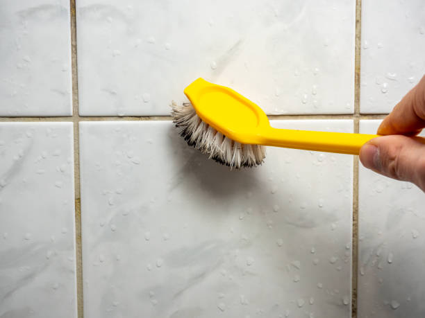 Best Commercial Mold Remediation in Camilla, GA