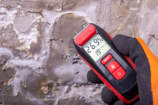 Best Post-Flood Mold Remediation in Camilla, GA