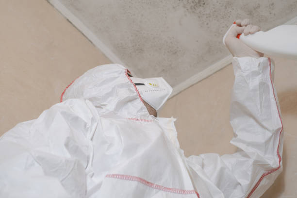 Best DIY Mold Remediation Support Services in Camilla, GA