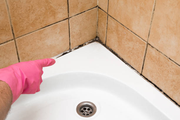 Best Residential Mold Remediation in Camilla, GA